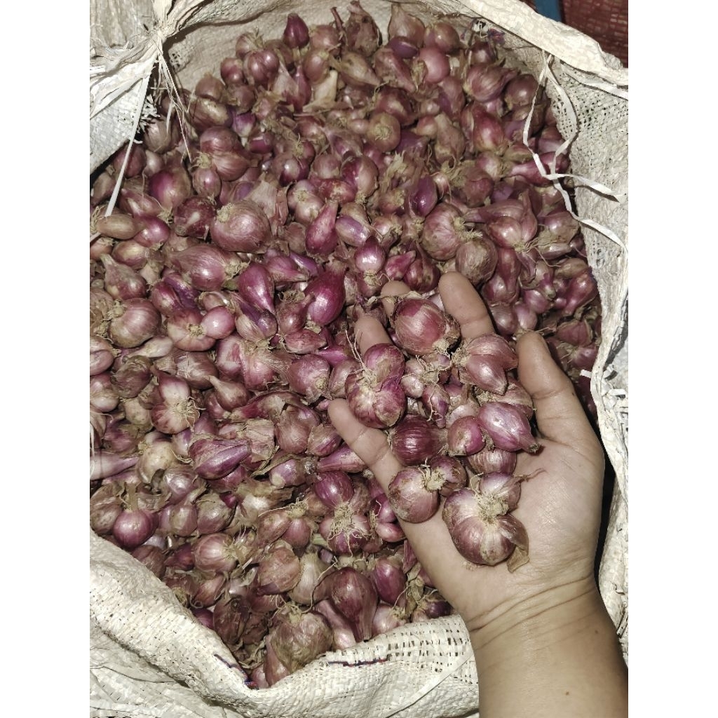 

(1000)bawang merah nganjuk tanggung kecil campur TERMURAH! (J)