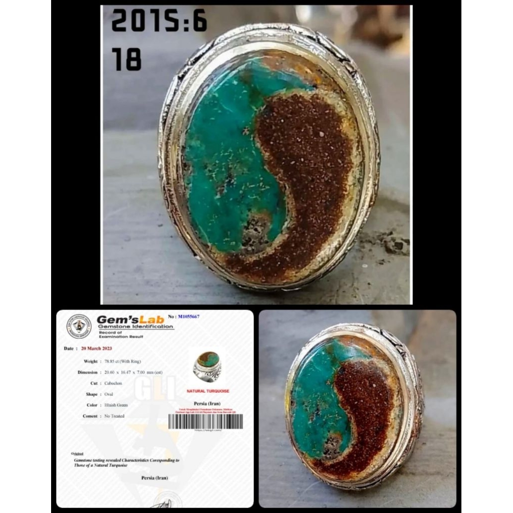 pirus persian iran ( asli urat kelas kontes ) motif yinyang