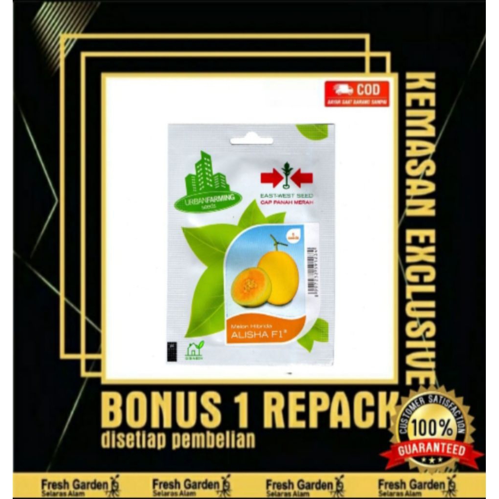 Benih Melon Hibrida Alisha - PANAH MERAH