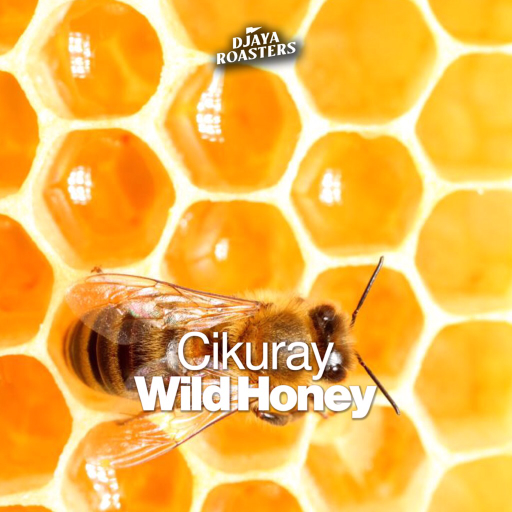 

Cikuray Wild Honey Single Origin Filter Coffee