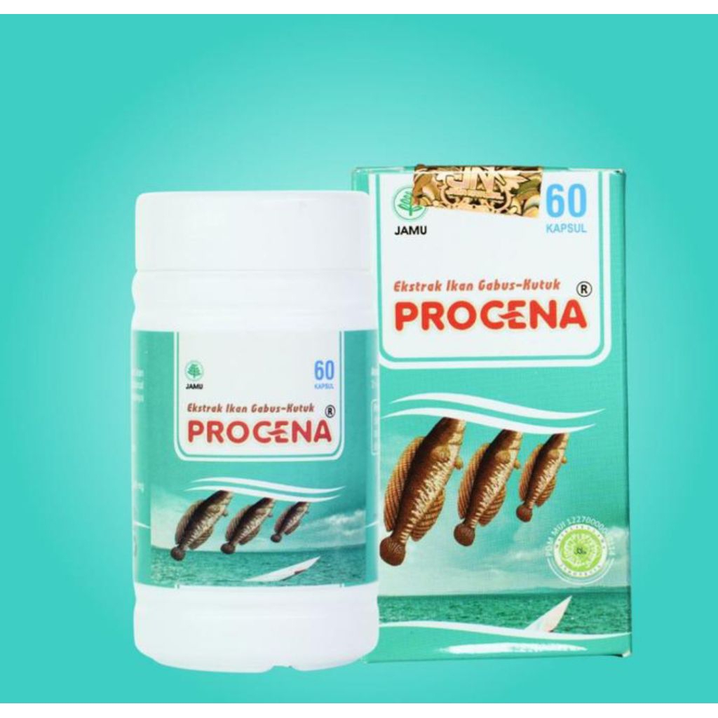 Kapsul Ikan Gabus Kutuk Asli Original Procena Obat Pengering Luka Pasca Operasi Ampuh
