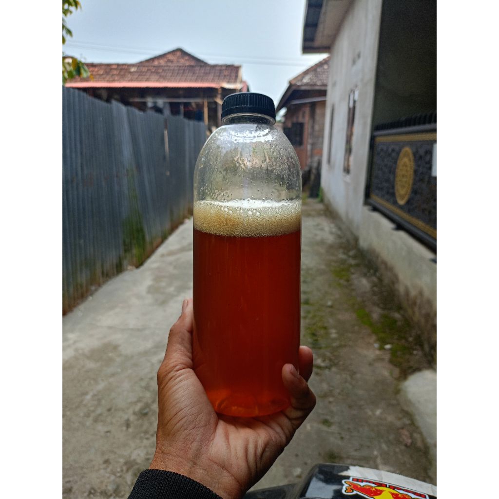 

madu sialang ukuran 1kilo (1000g)