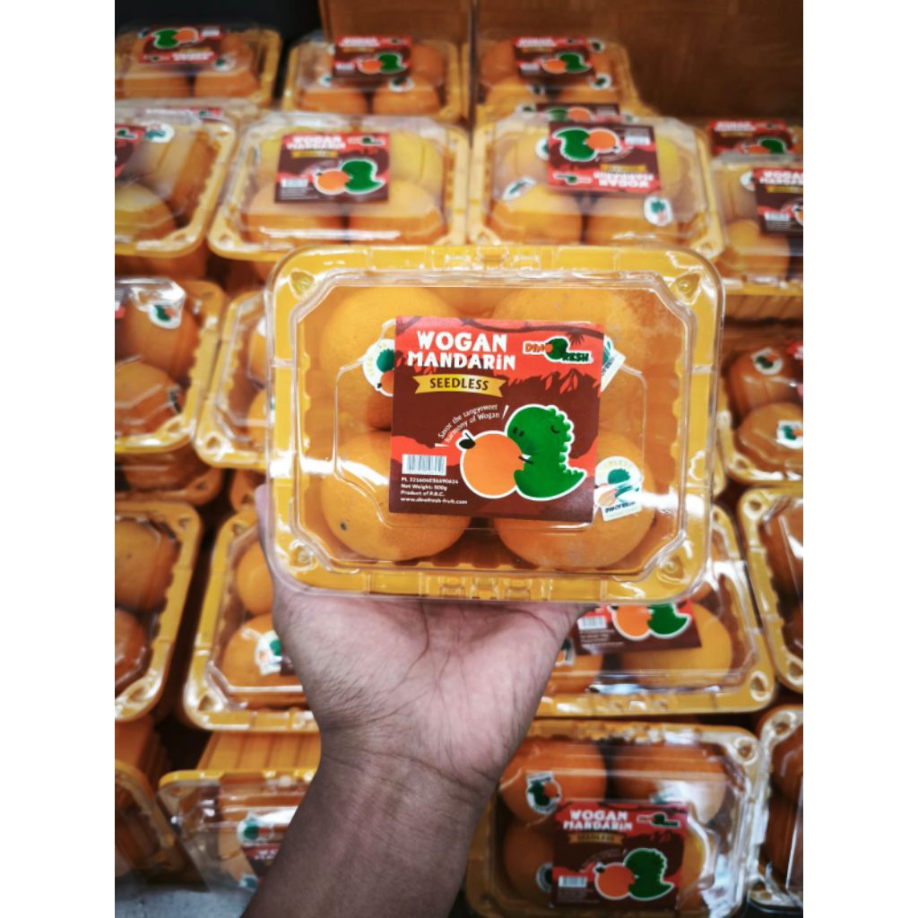 

Buah jeruk wogan dino seedles manis tanpa biji pack