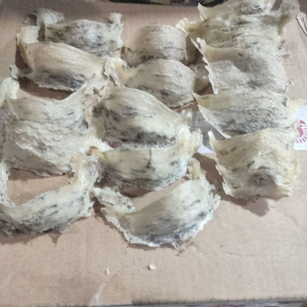 

Sarang Burung Walet Kotor Mangkok Oval/Sudut 250gr 500gr