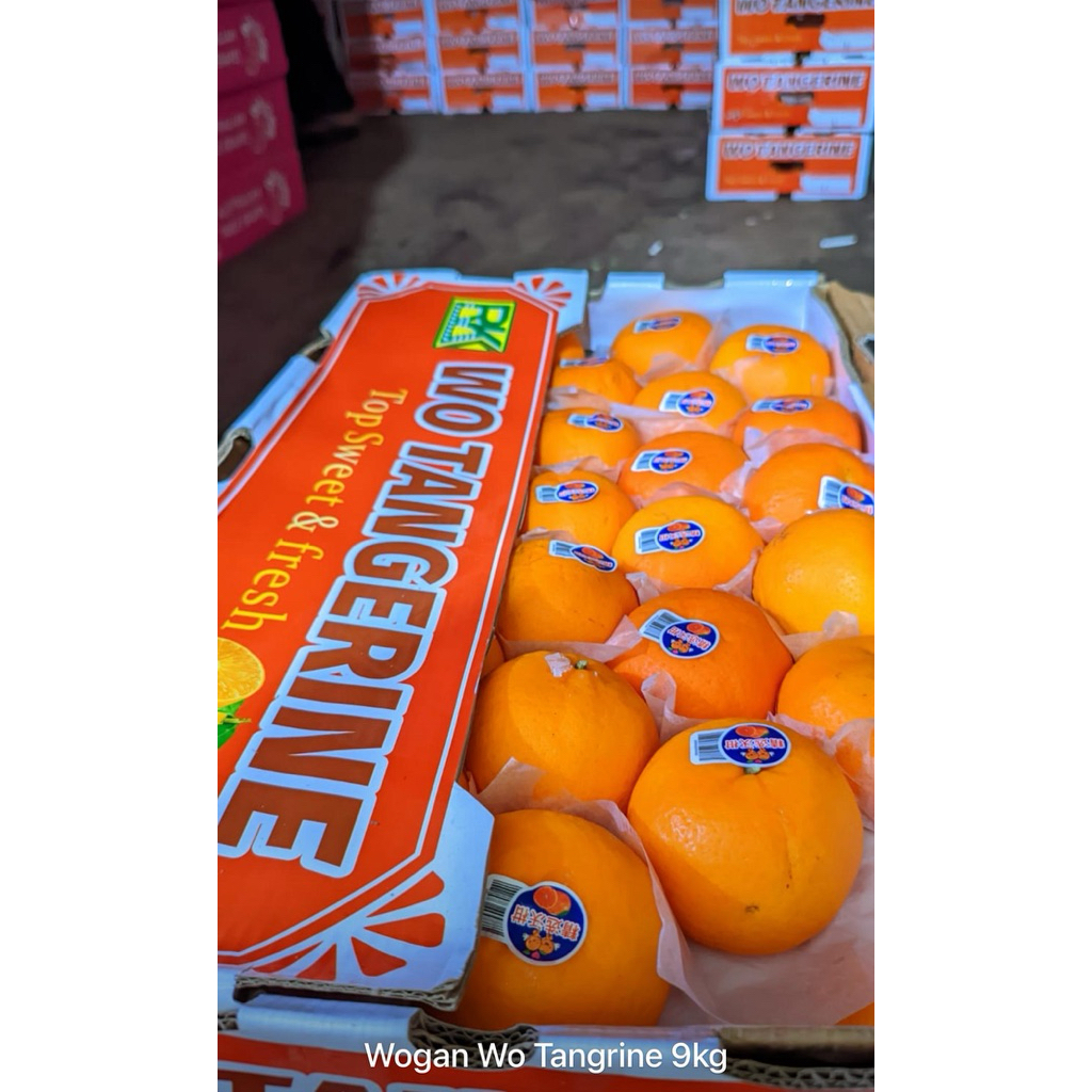 

JERUK WOGAN IMPORT READY MANIS