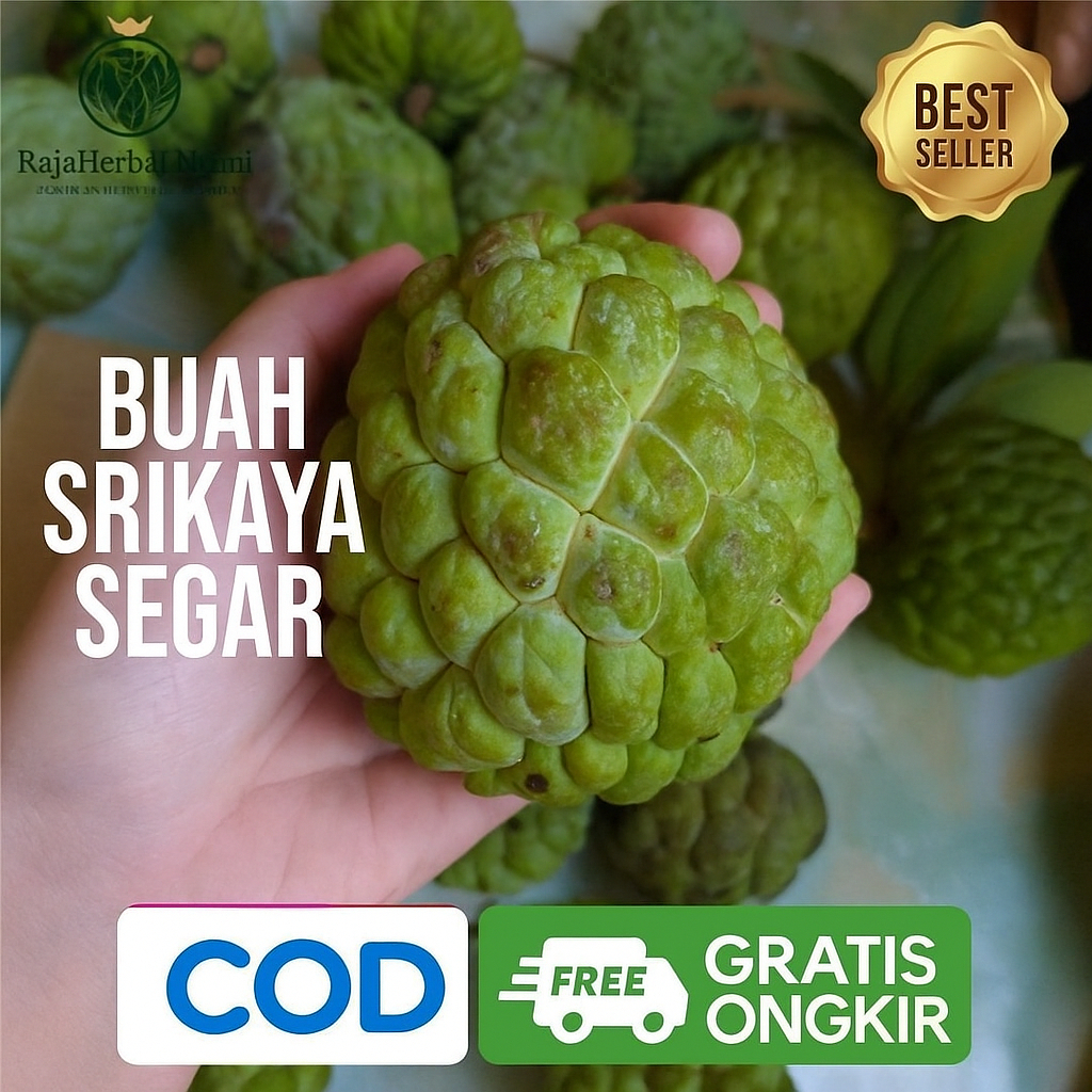 

Buah Srikaya Segar Mentah – Siap Diperam untuk Dinikmati Manis Alami I COD & GRATIS ONGKIR