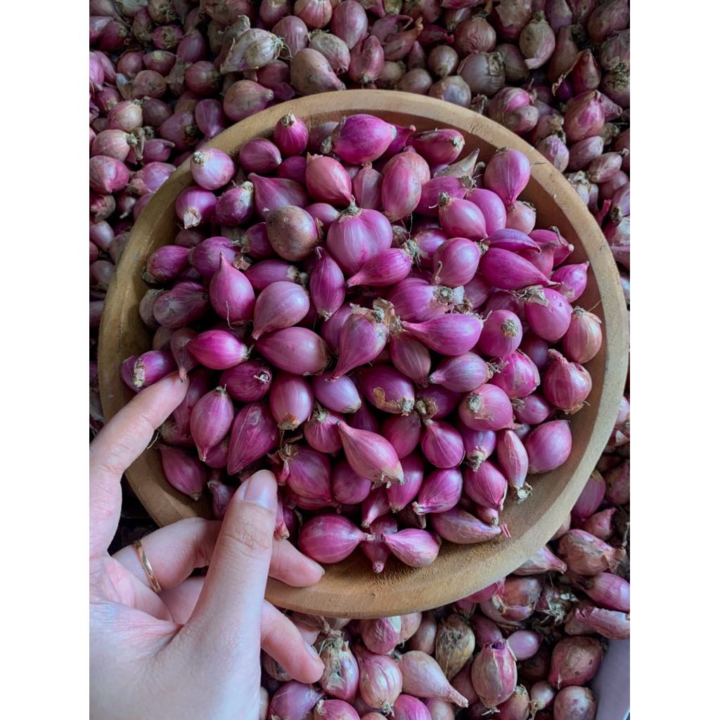 

(1 Kg) Tanggung Kecil Bawang Merah Super Kering Bamer Termurah Berkualitas Lokal Nganjuk