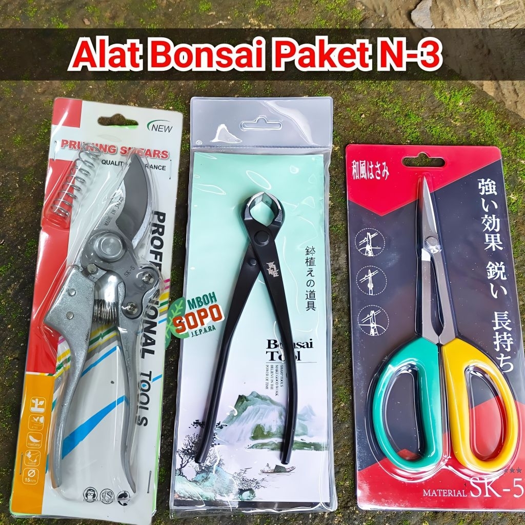 Alat Bonsai Import Premium - Gunting dan Catok Bonsai - Paket N3
