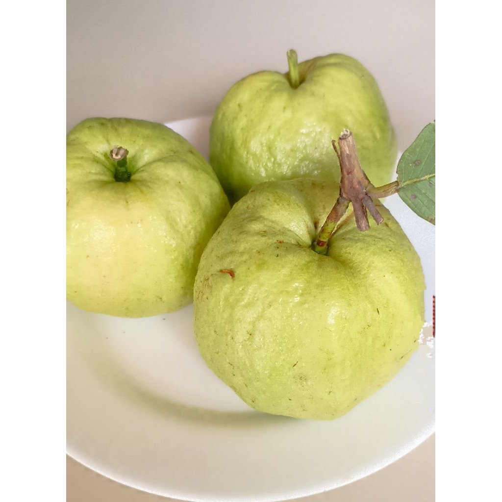 

Jambu Kristal Fresh Kebumen Grade super mix (size besar dan medium isi 5-6 butir per kilogram)