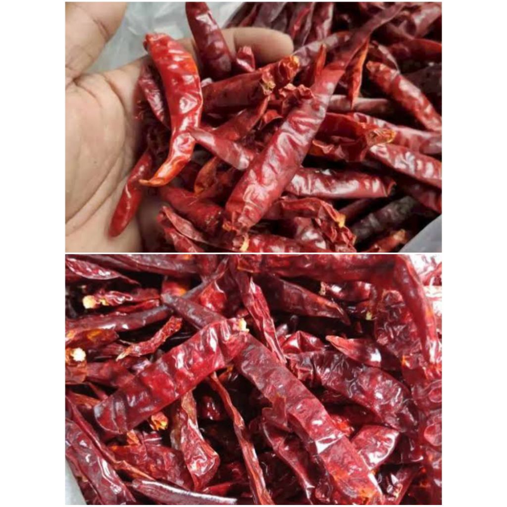 

Cabe Keriting Kering 50 Gram Tanpa Tangkai Super Pedas Untuk Chili Oil / Seblak