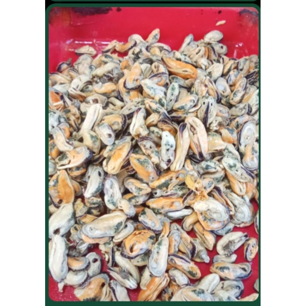 

KERANG KUPAS FRESH PERKILO