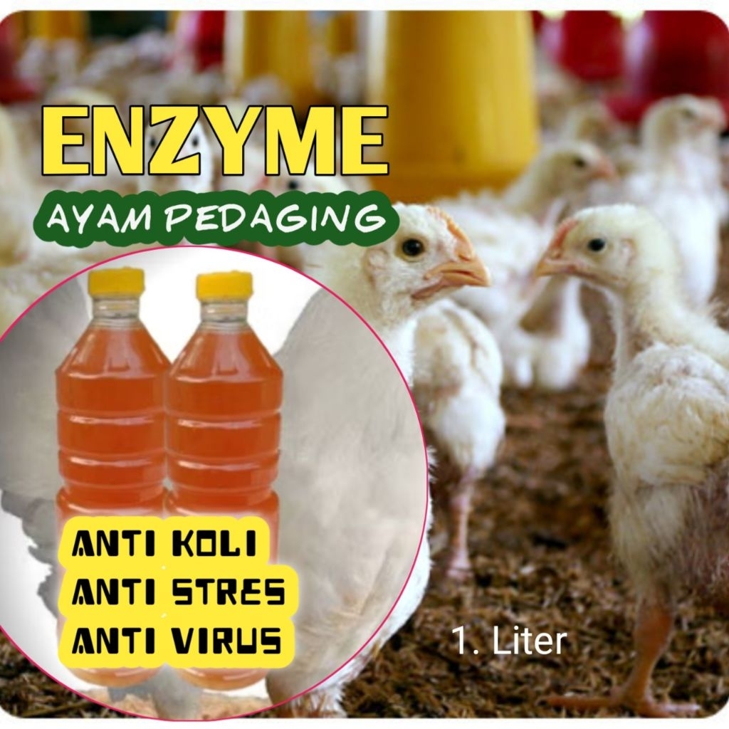 ENZYM- Penambah Bobot Ayam Pedaging 1.Liter