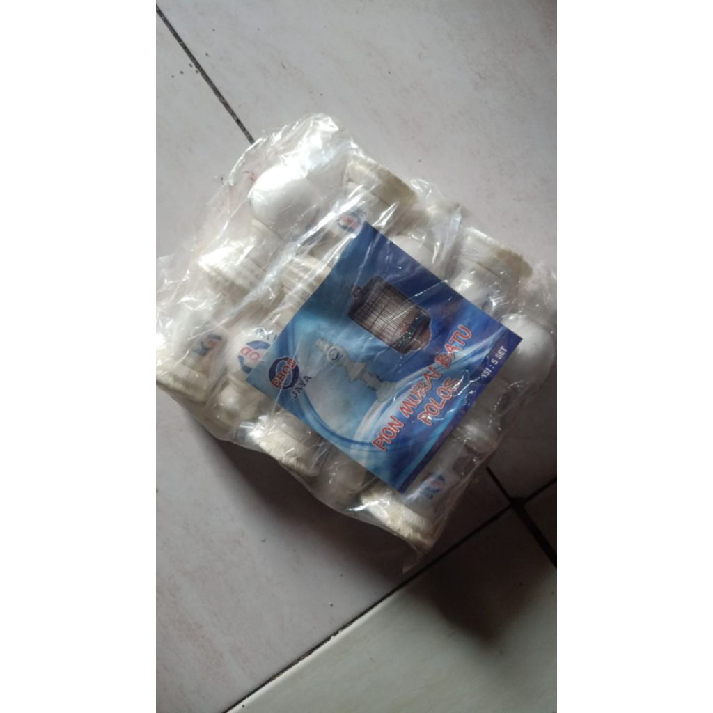 pion murai / pion sangkar burung Ebod Jaya ready