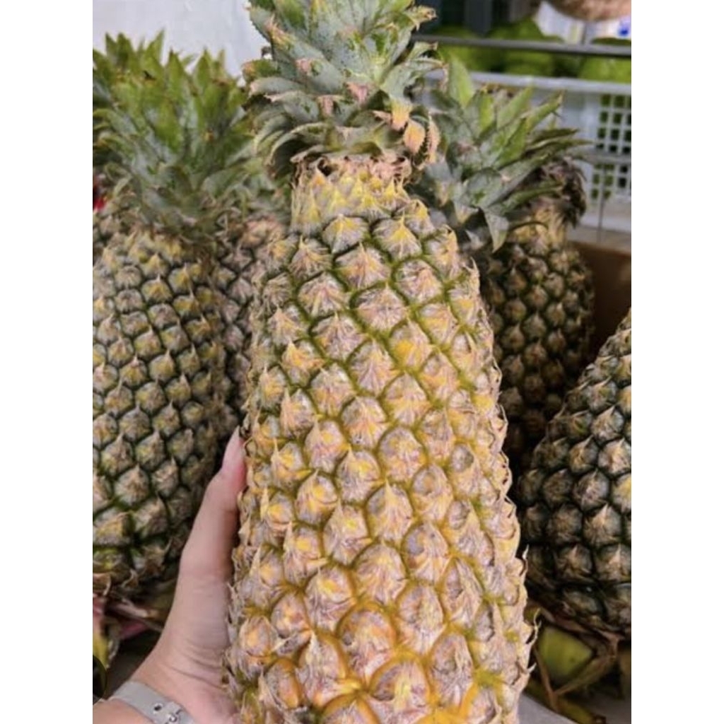 

NANAS MADU JUMBO SUPER ASLI KELUD 1 BUAH