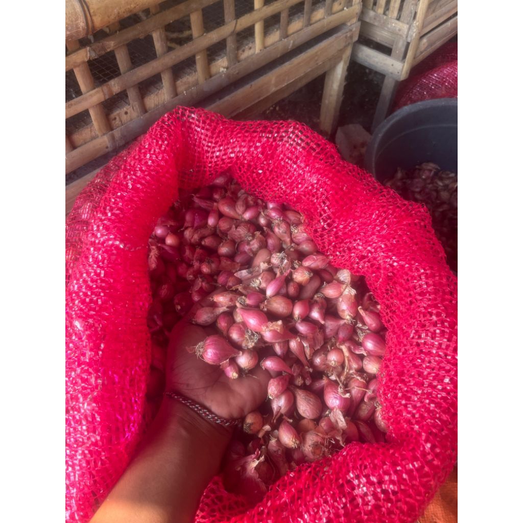 

bawang merah lokal CAMPUR 500gr termurah warna merah merona