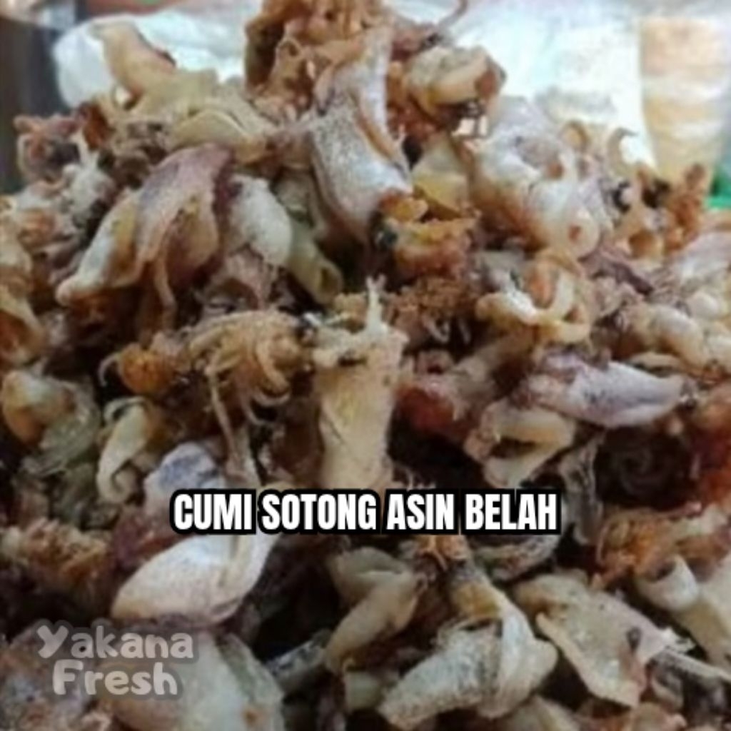 

Cumi Sotong Asin Belah 500g