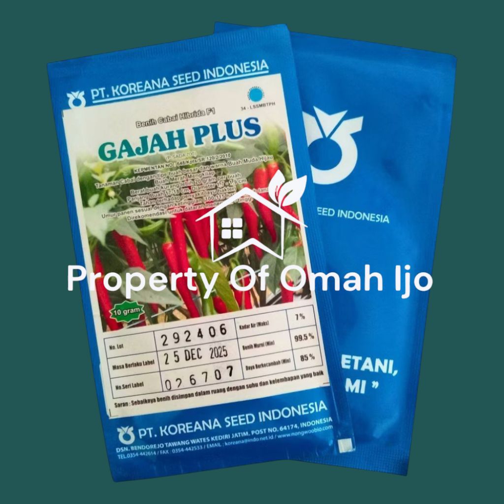 Benih Cabe Gajah Plus F1 10gr – Buah Besar Tahan Layu, Cocok Dataran Tinggi