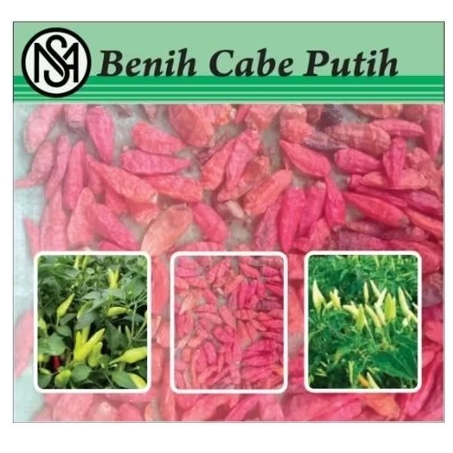 

20 Bijih - Benih Cabai Putih Nano