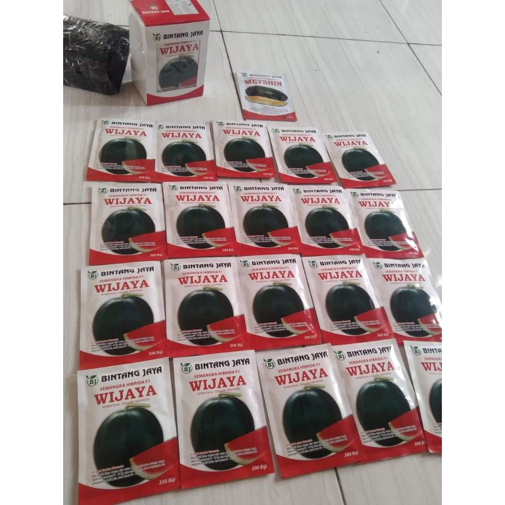 

(Ready) Wijaya F1 Semangka Tanpa Biji |Watermelon Seedless | Semangka Bulat dari Bintang Jaya