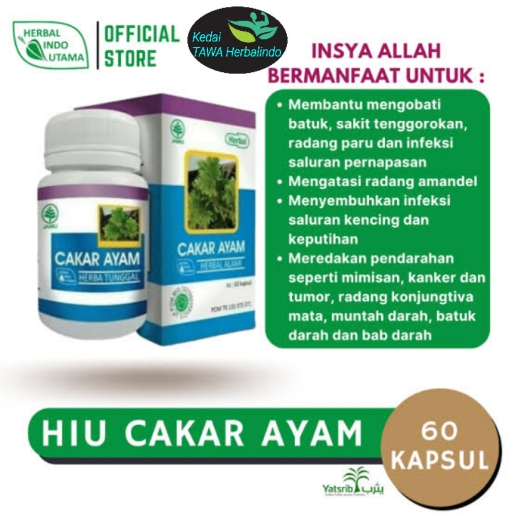 CAKAR AYAM kapsul herbal ORIGINAL BPOM | mengobati batuk,sakit temggorokan,radang paru,infeksi salur