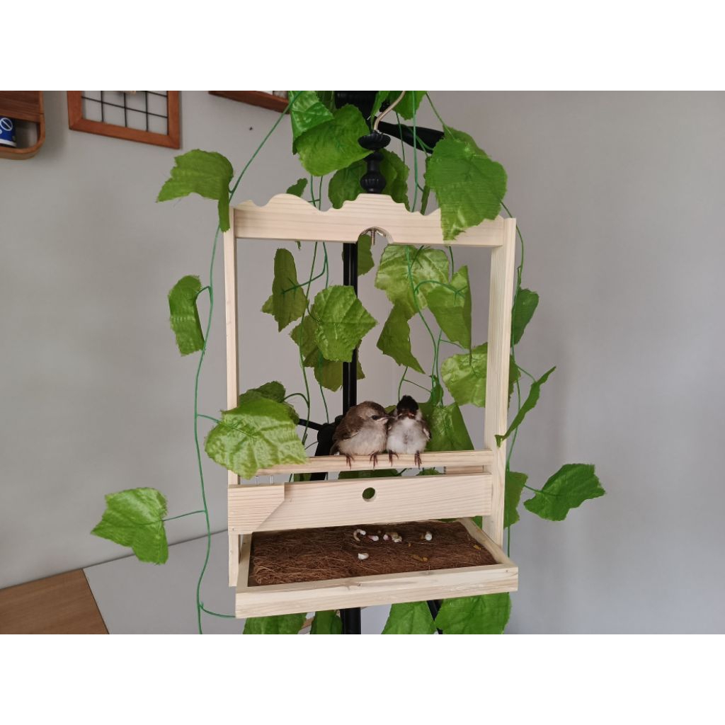 Sangkar Burung Layang Aesthetic Natural Model Mahkota Ukir