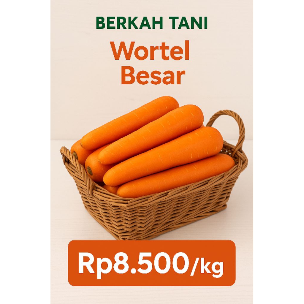 

Wortel_Besar dan Panjang