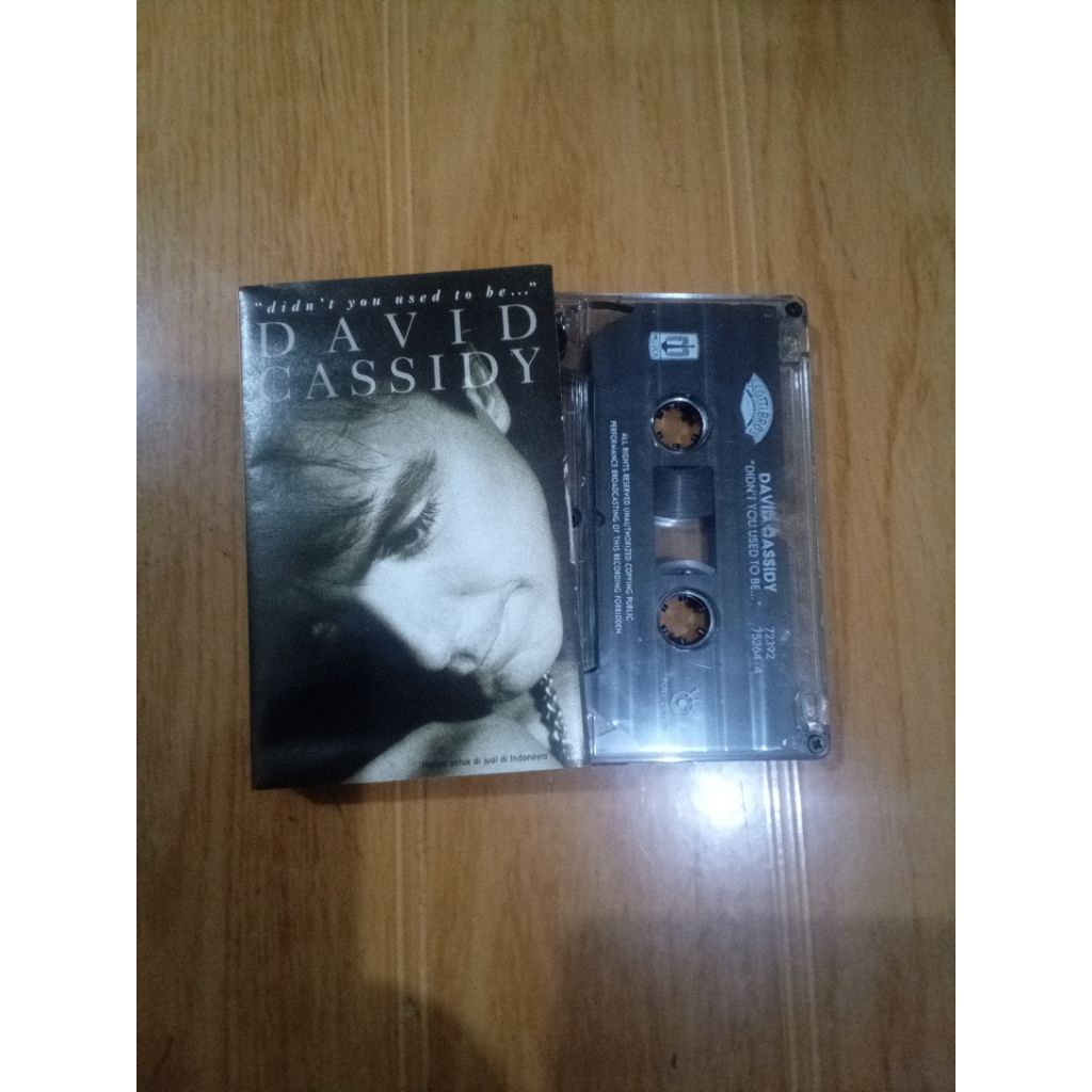 kaset pita david cassidy - didn't you used to be