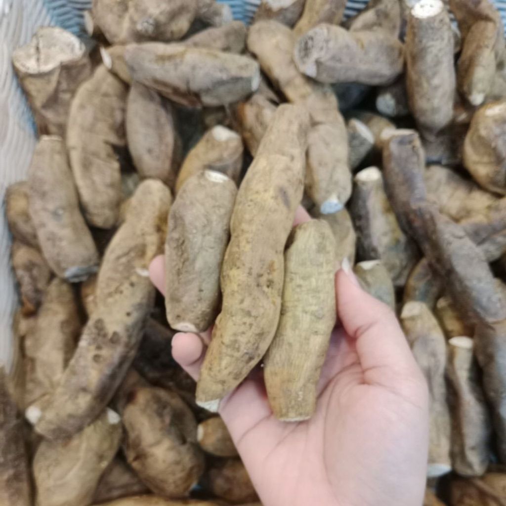 

Ubi Cilembu oven 1kg