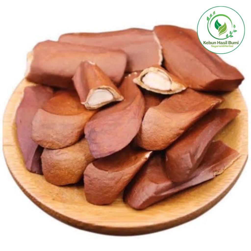 

Biji Mahoni Asli Pahit - Herbal