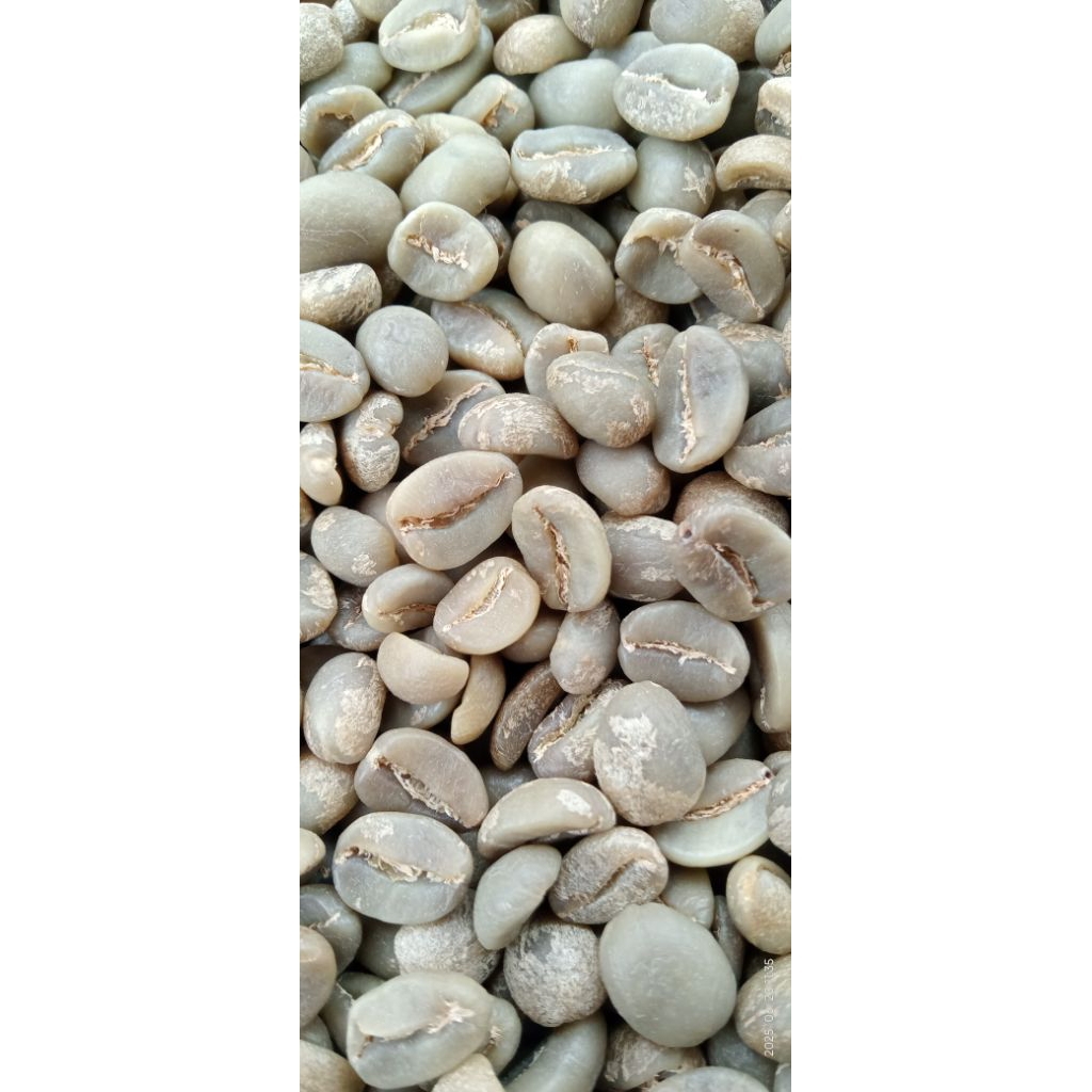 

ARABICA SEMERU FULLWASH