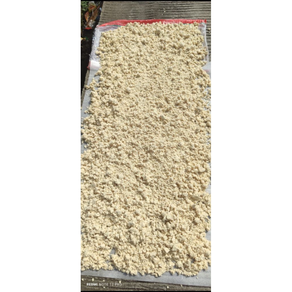 ampas tahu basah (pakan ternak) 1kg