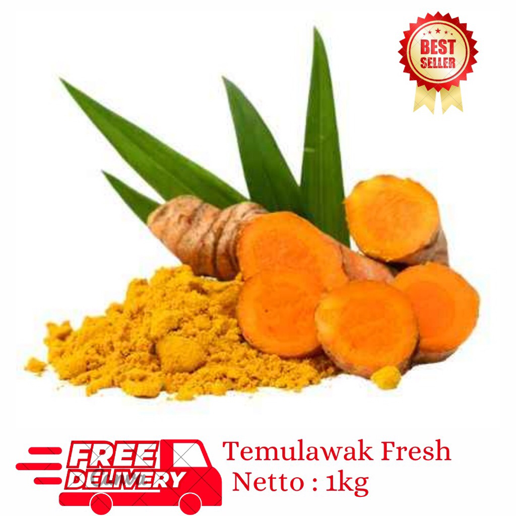 

Temulawak segar 1kg/Obat Herbal Alami/Temulawak fresh