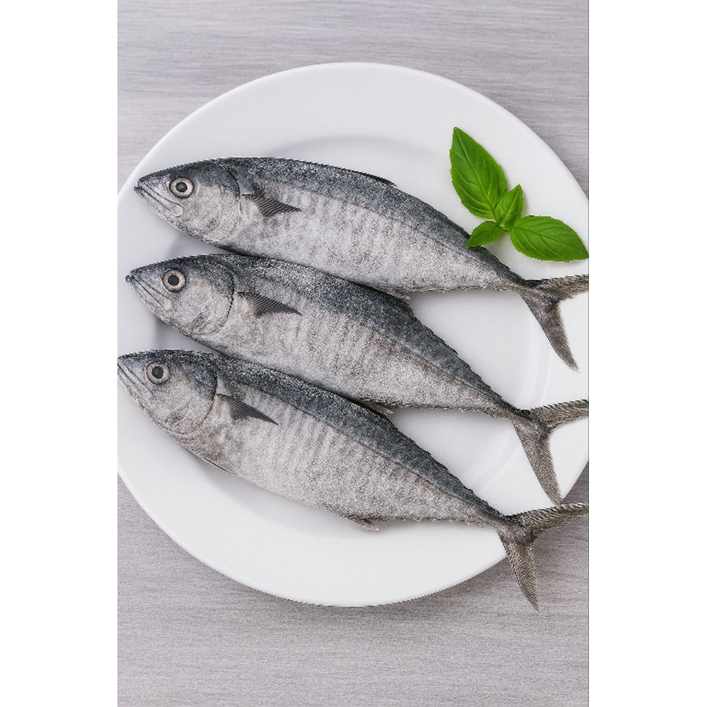 

IKAN TENGGIRI FRESH 1 KG