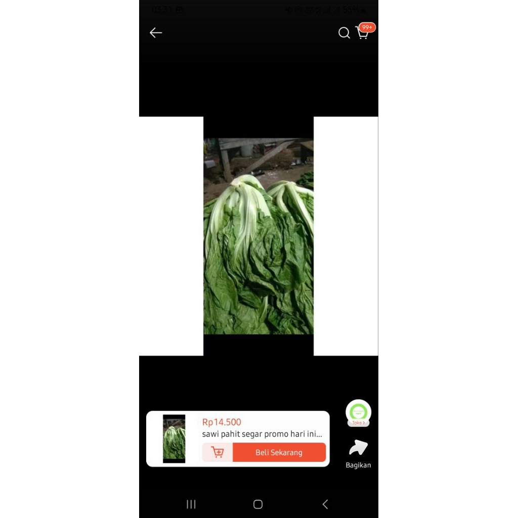 

sawi pahit/sawi asin promo hari ini 1 kg