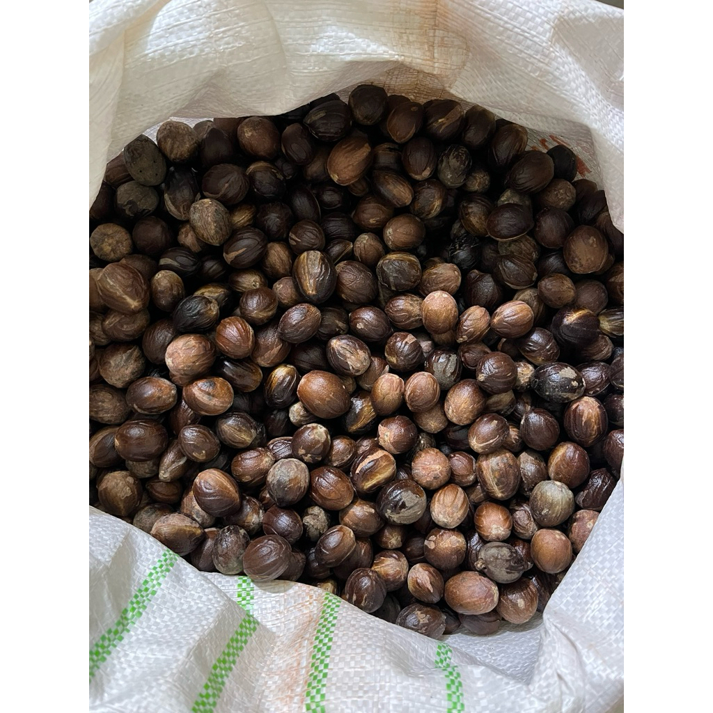 

Buah Pala kering 1kg | Biji pala bulat utuh | Rasa Khas Nusantara!