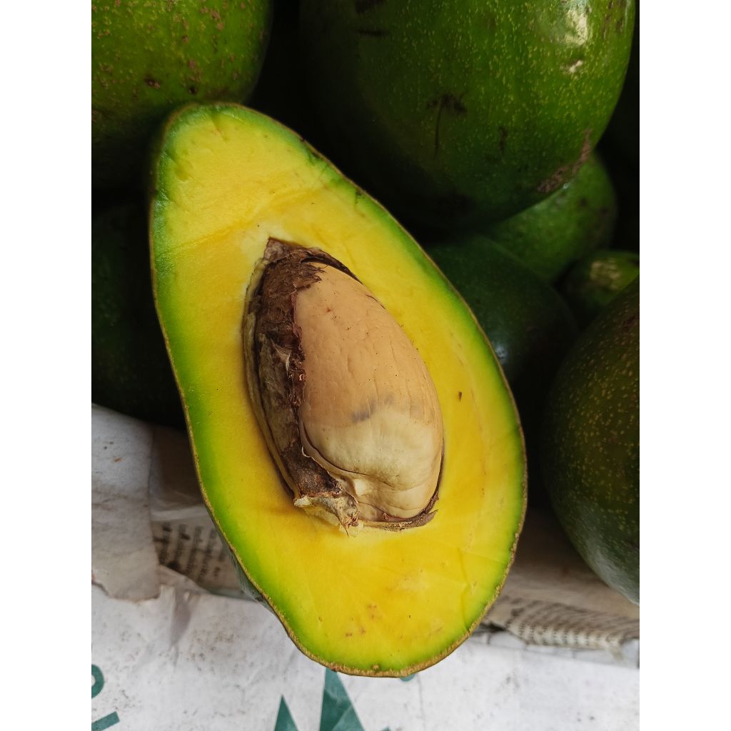 

Alpukat mentega ( per 1kg )