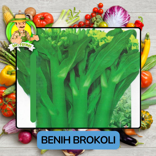 

Benih Sayuran Brokoli Bibit Sayuran