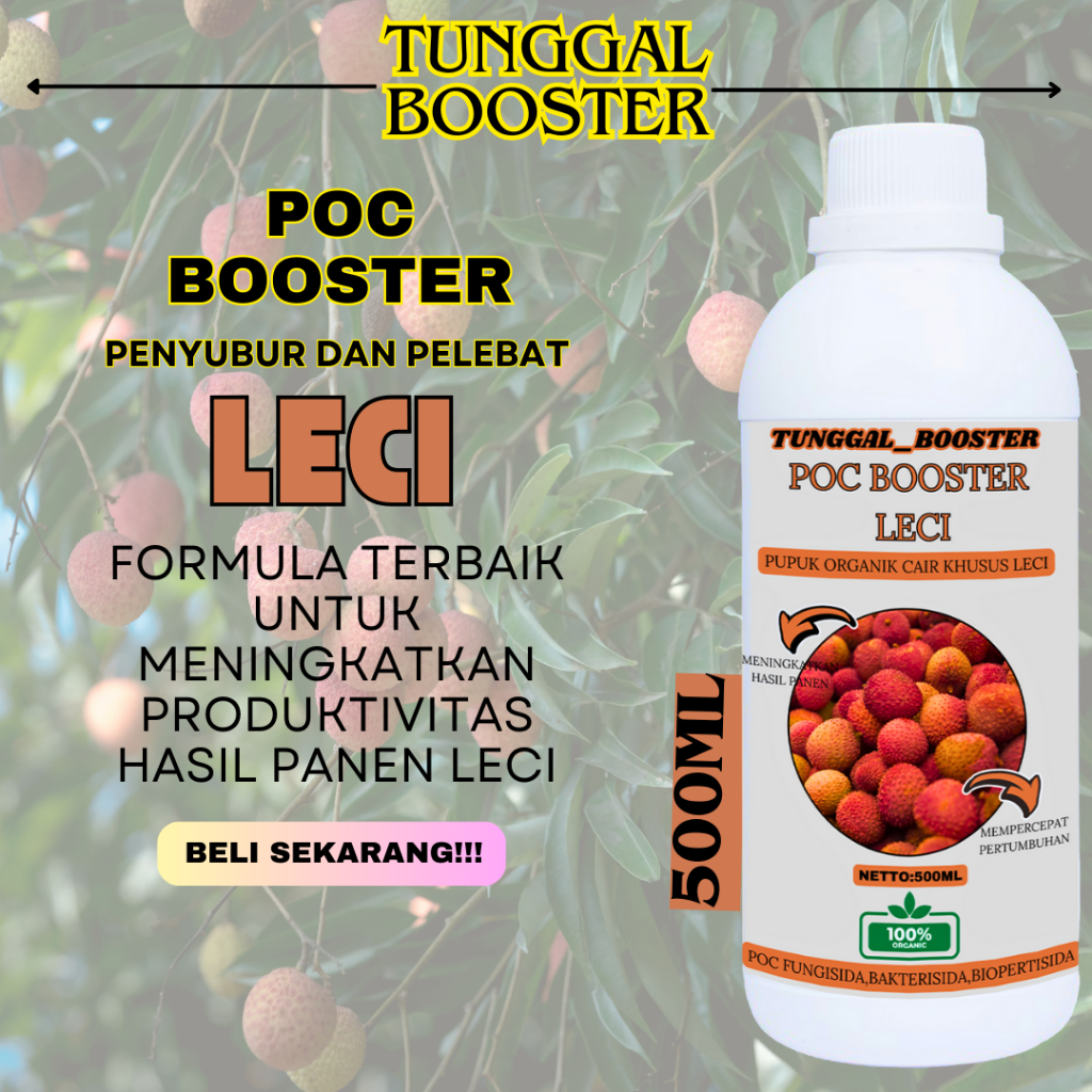 Pupuk Buah Leci / Pupuk Leci Cepat Berbuah / Pupuk Pelebat Buah Leci / Boster Pupuk Leci Pupuk Peran