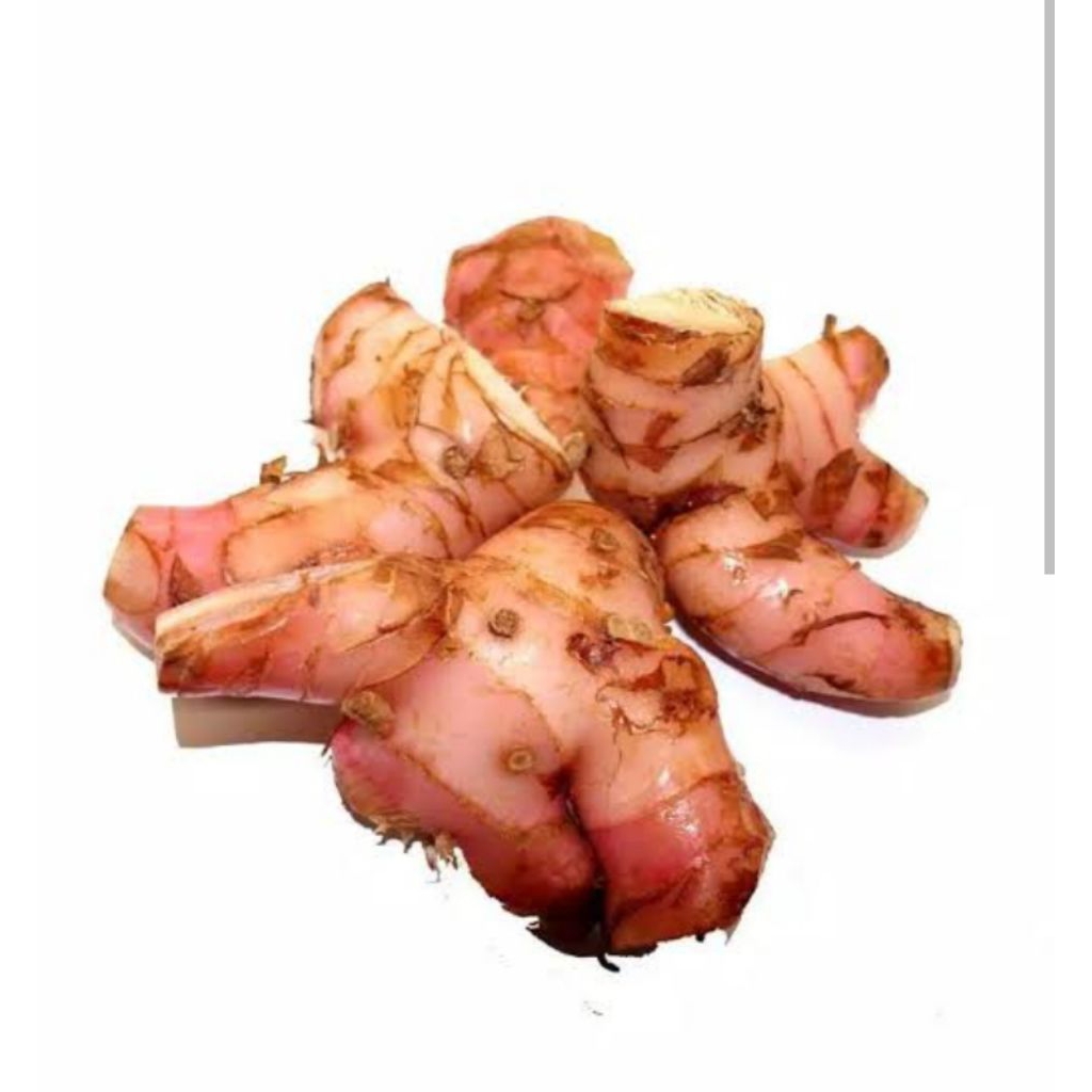 

laja/lengkuas 1kg sudah bersih dan fres