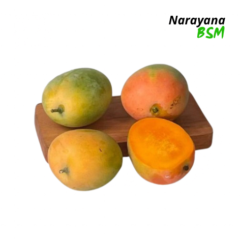 

Buah Mangga Gedong Segar Super Quality