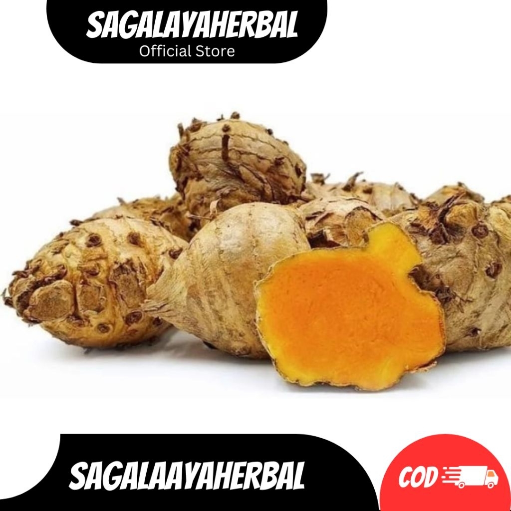 

TEMULAWAK, KONENG GEDE BIANG TEMULAWAK SEGAR PROMO