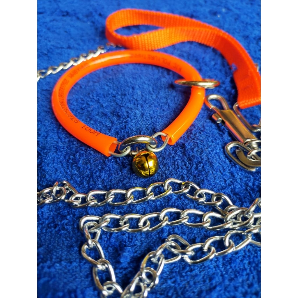 kalung+rantai kuat monyet anjing kucing dll