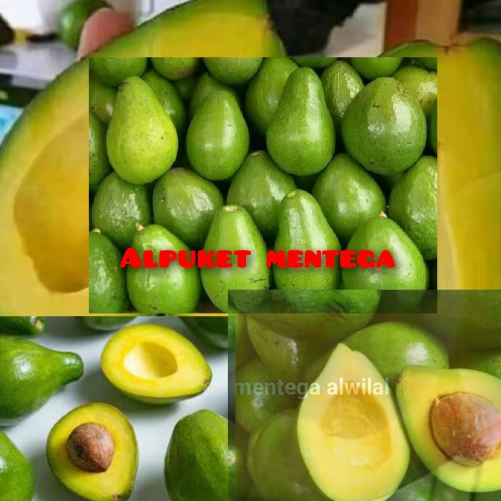 

Alpuket mentega fresh 1kg isi 4.5.6.7