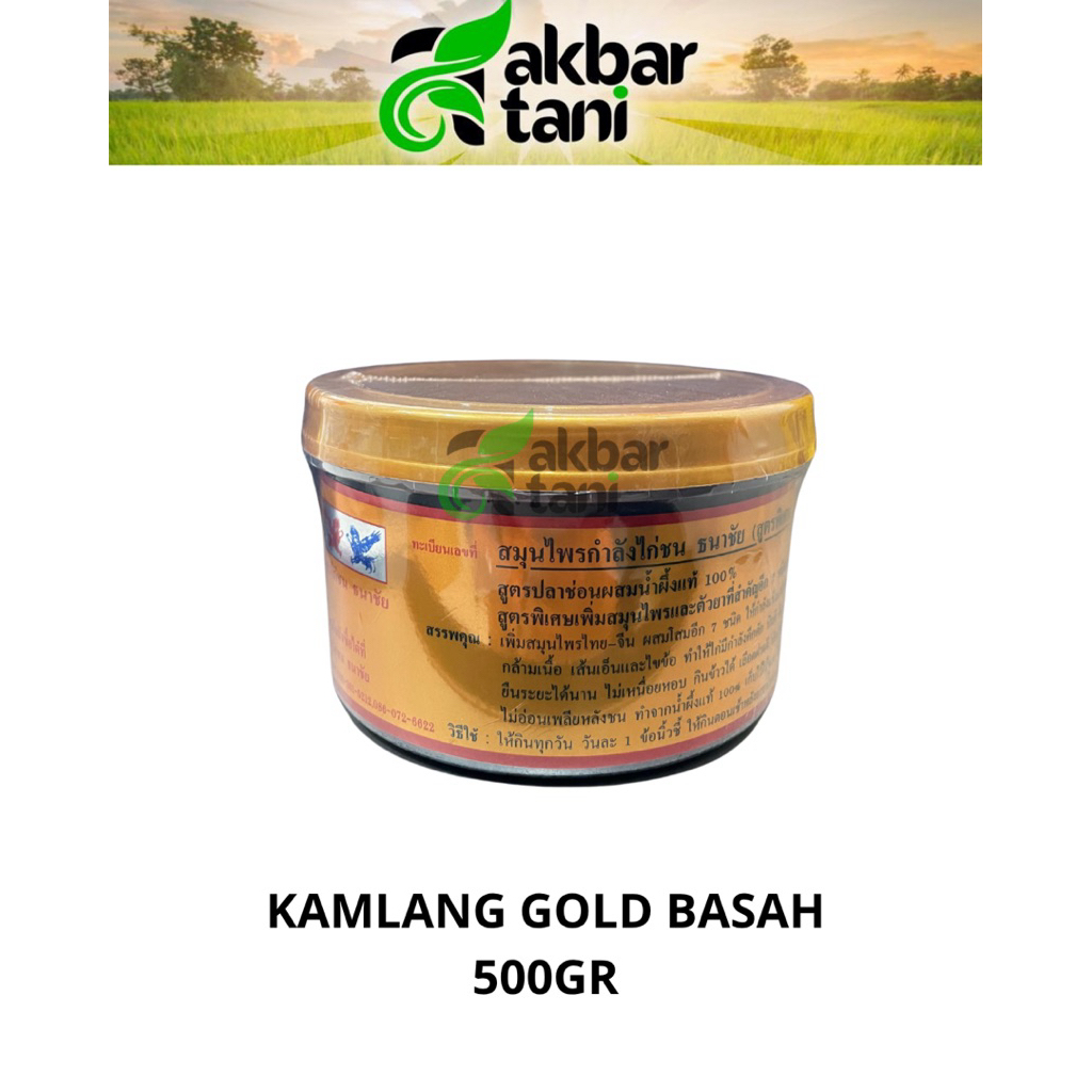 kamlang gold thailand basah obat oles ayam aduan obat jamu ayam jago kamlang