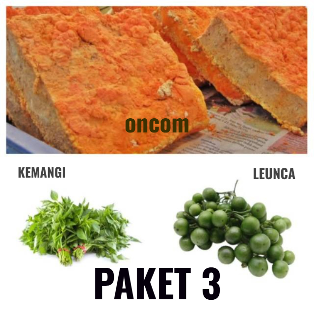 

Paket Tumis Leunca 3 produk oncom/leunca/kemangi Paket Hemat