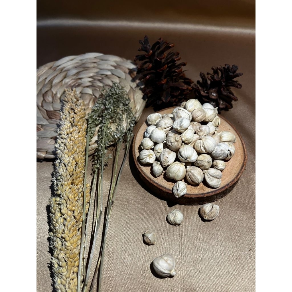 

Kapulaga kapol putih Bai Dou Kou Cardamon - 10 gram