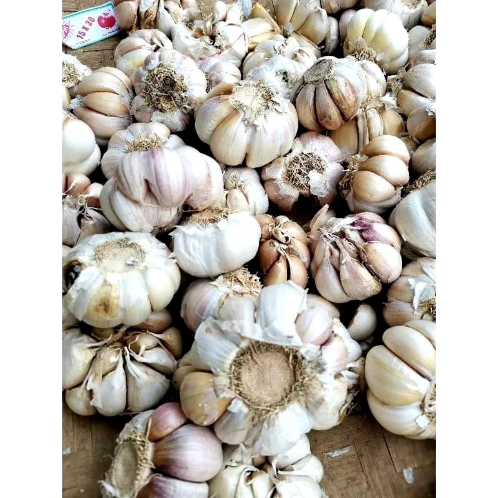 

BAWANG PUTIH 250/500/1000GRAM