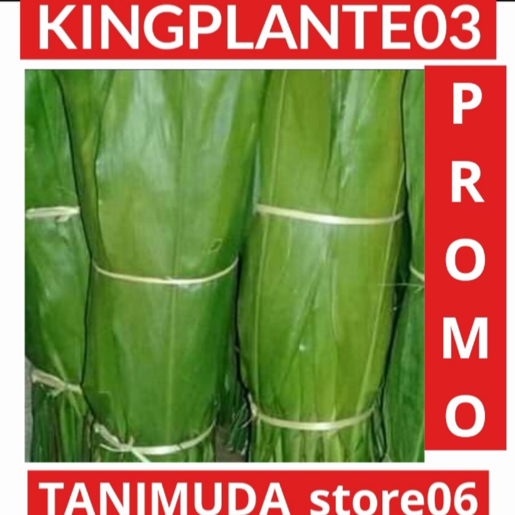 

DAUN HANJUANG 50 lembar BUNGKUS BACAM DI AMBIL DADAKAN