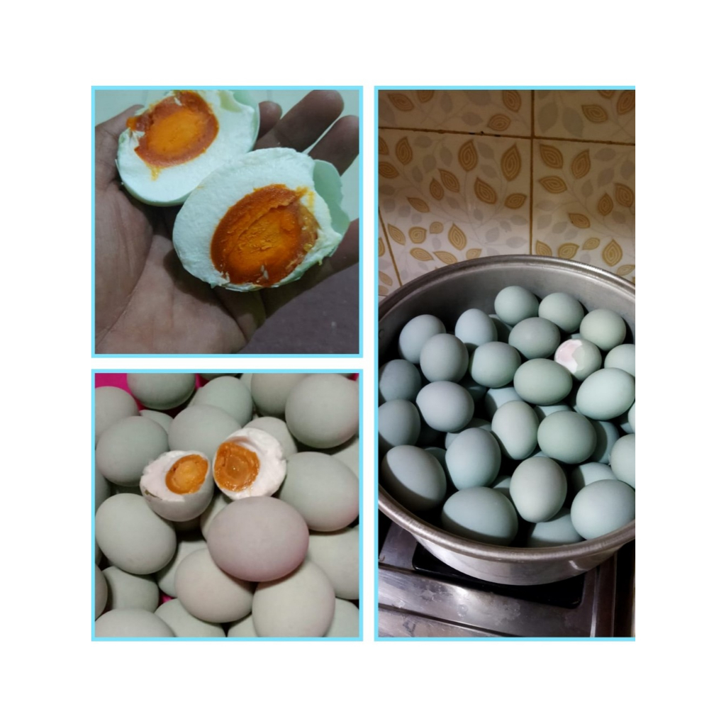 

Telur Asin Omega Telur Bebek Siap Makan Mas Bams