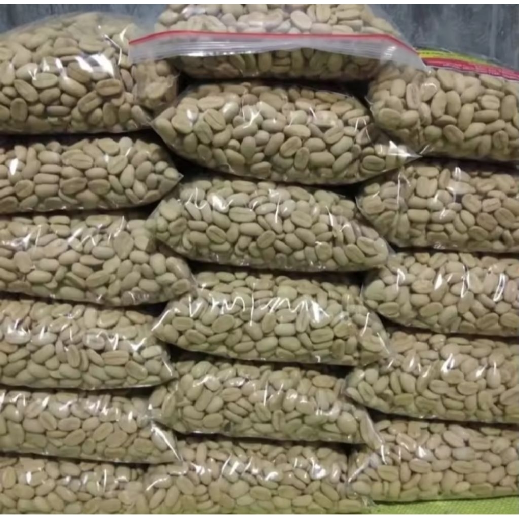 bibit kopi arabika ateng super 250 biji